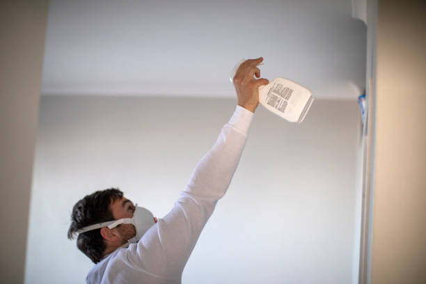 Best Crawl Space Mold Removal  in North Salt Lake, UT