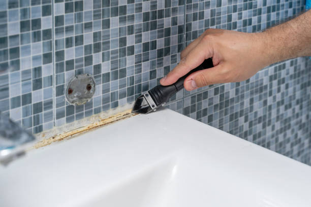 Mold Testing and Removal in North Salt Lake, UT